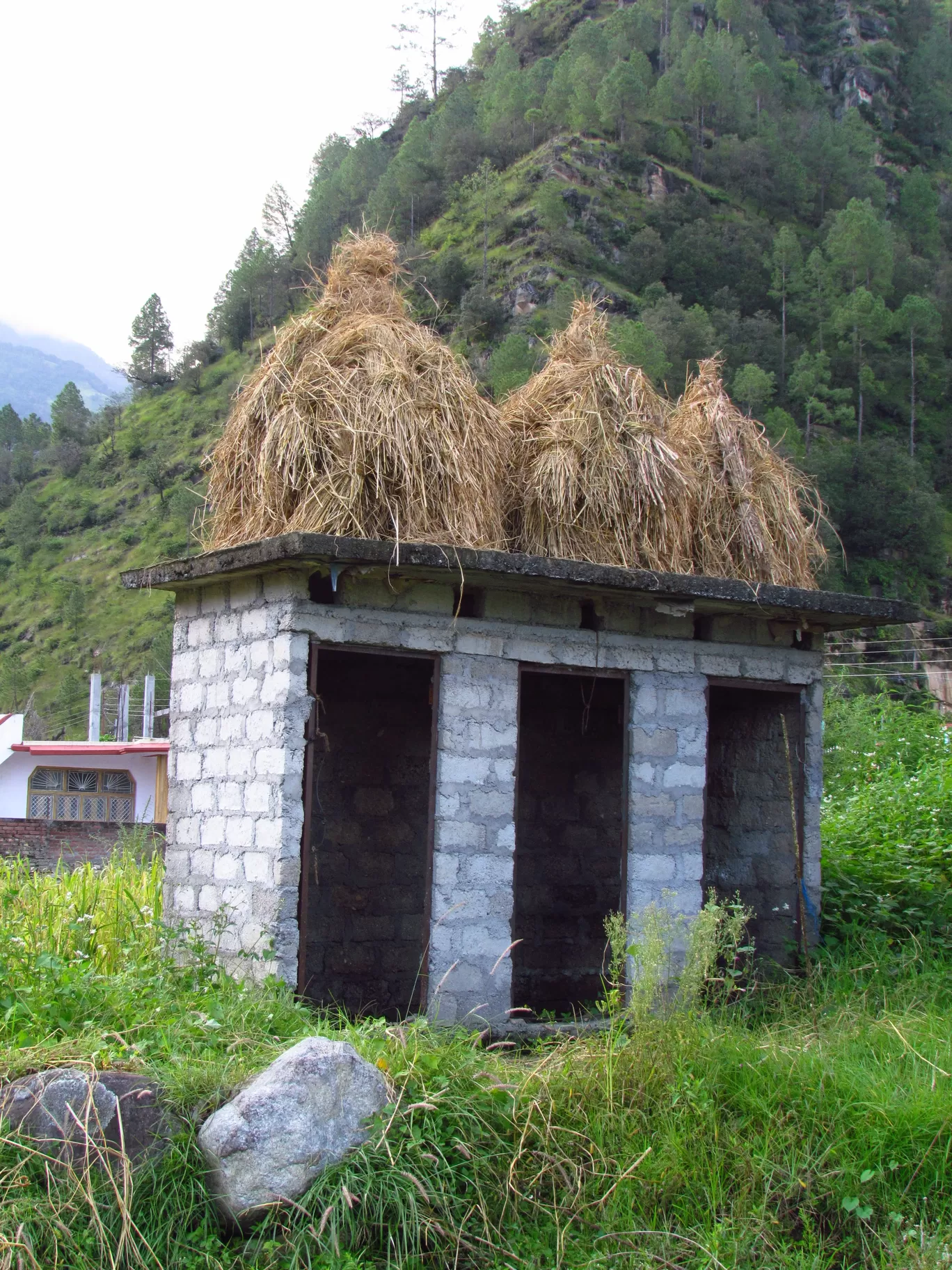 Photo of Auli Laga Joshimath By Amer Ghauri