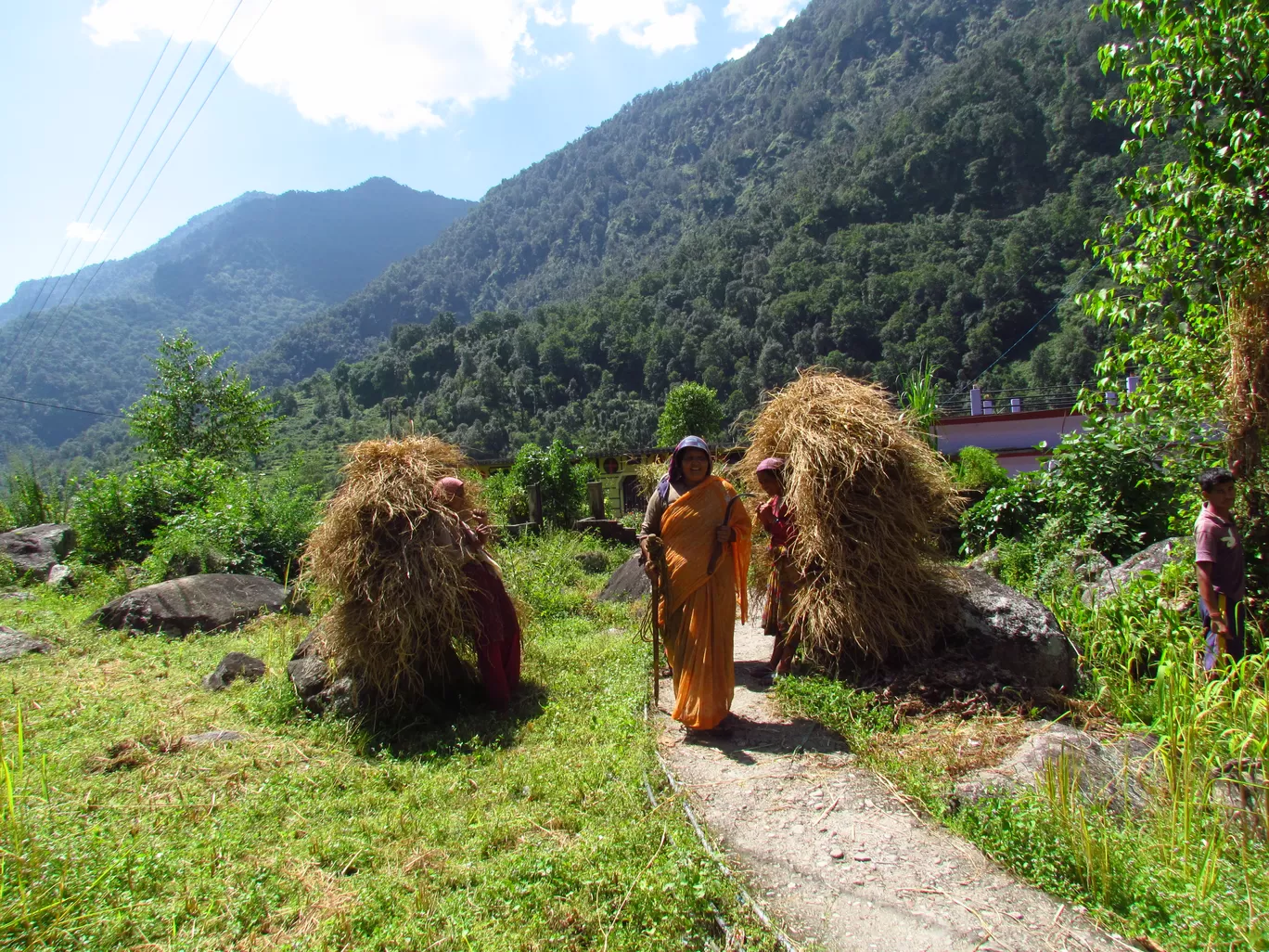 Photo of Auli Laga Joshimath By Amer Ghauri