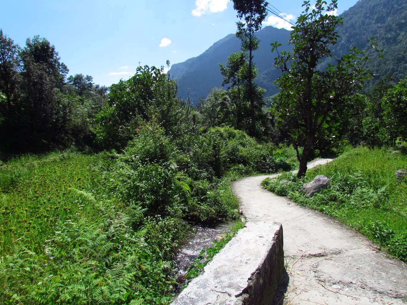Photo of Auli Laga Joshimath By Amer Ghauri