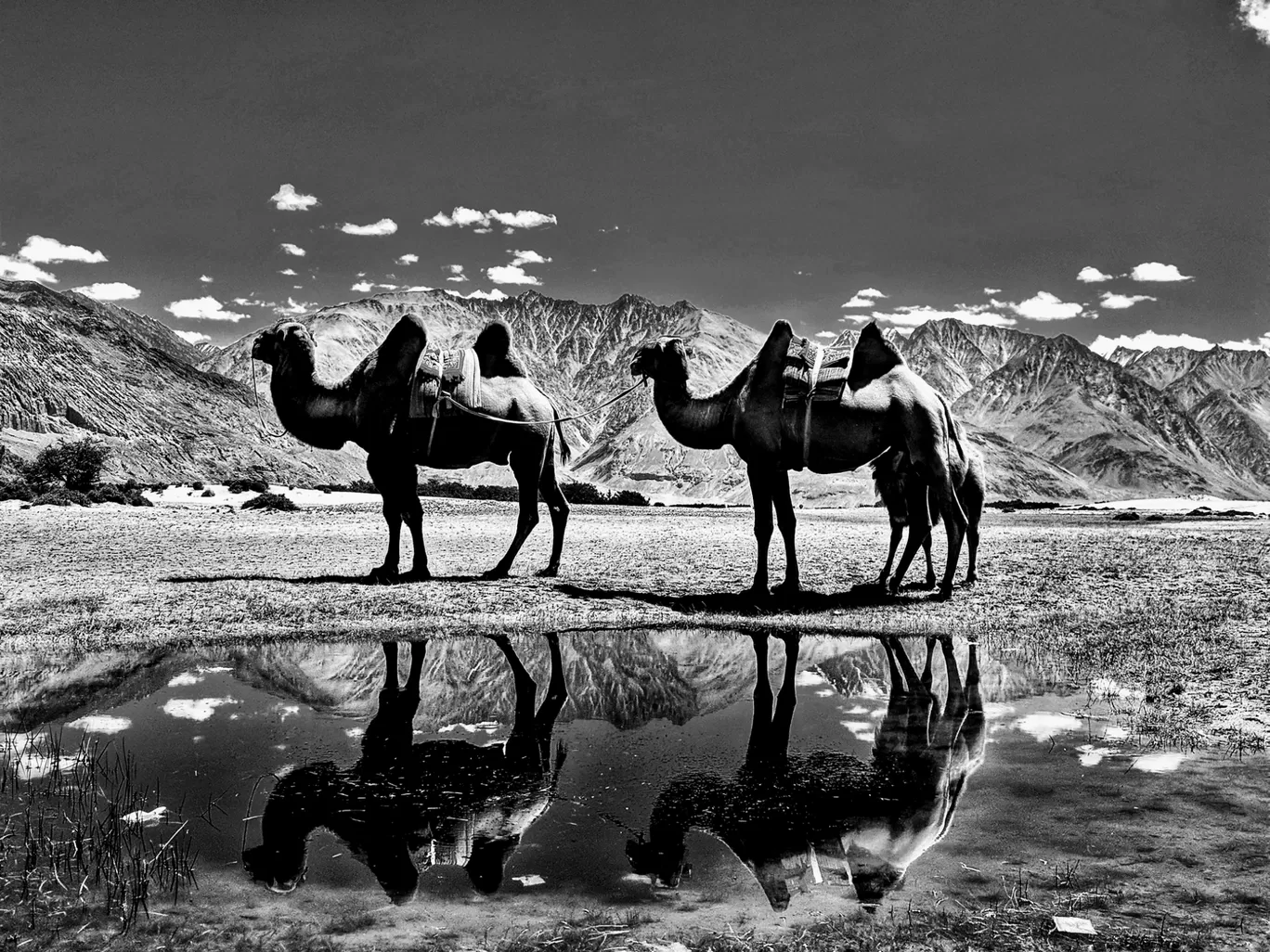 Photo of Nubra Valley By Kika Punian