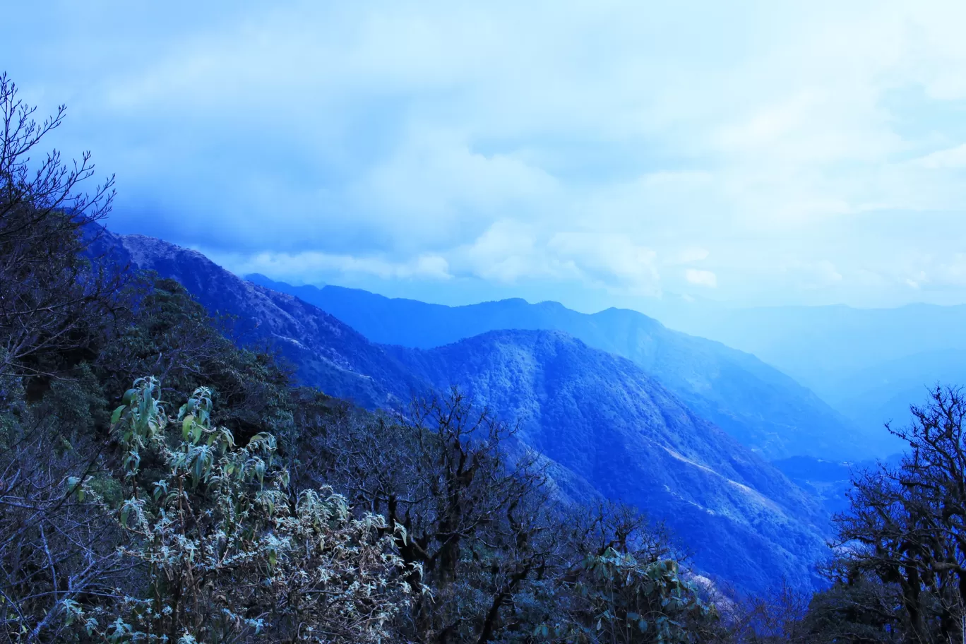 Photo of Sikkim By Moupiya Banerjee