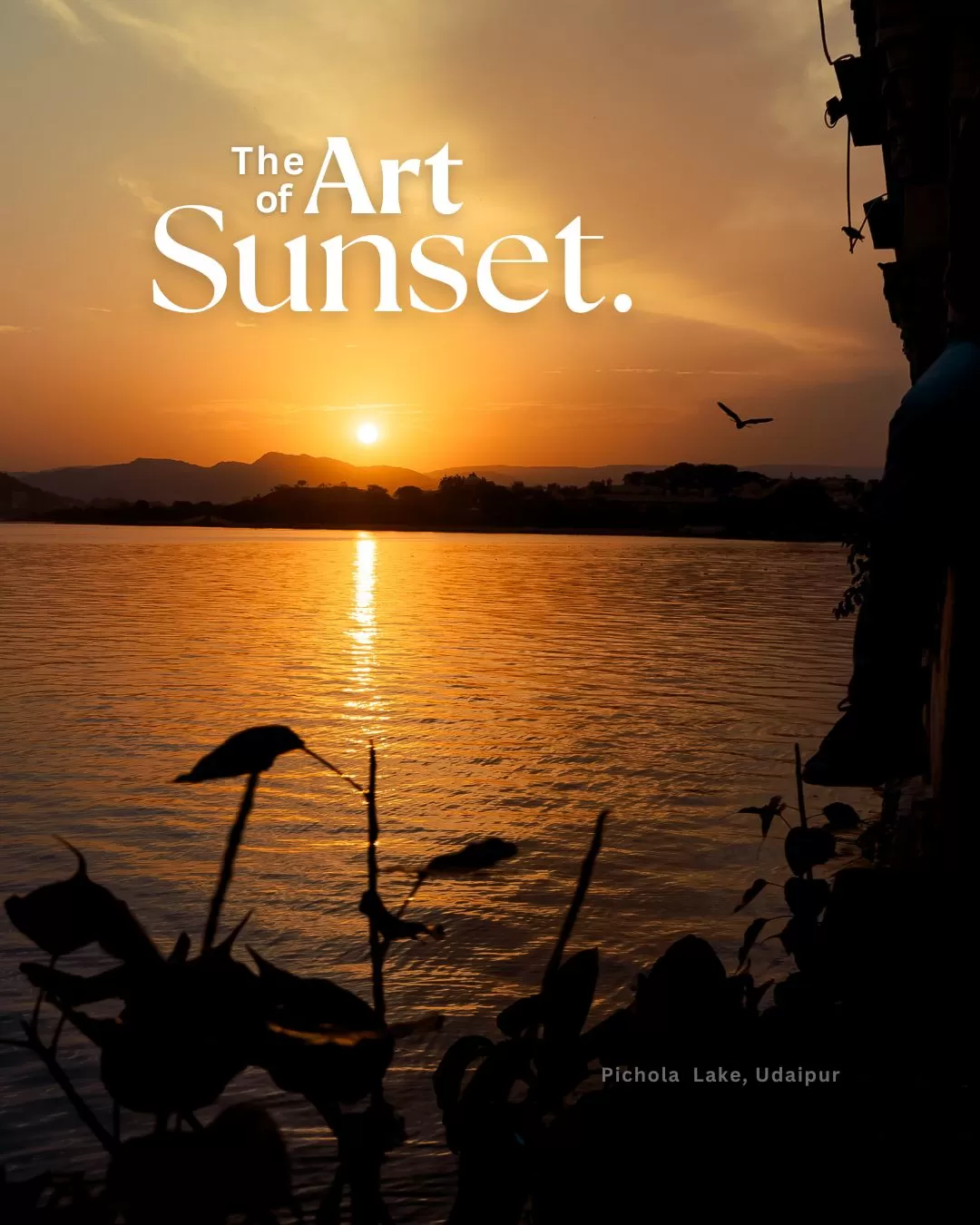 Photo of Lake Pichola By Bunny Ayush Kushwaha