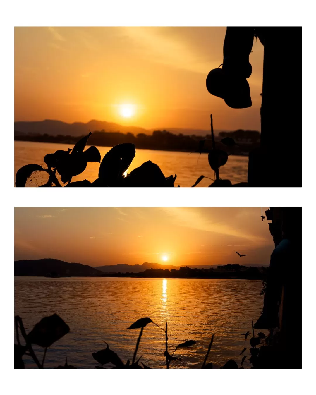 Photo of Lake Pichola By Bunny Ayush Kushwaha