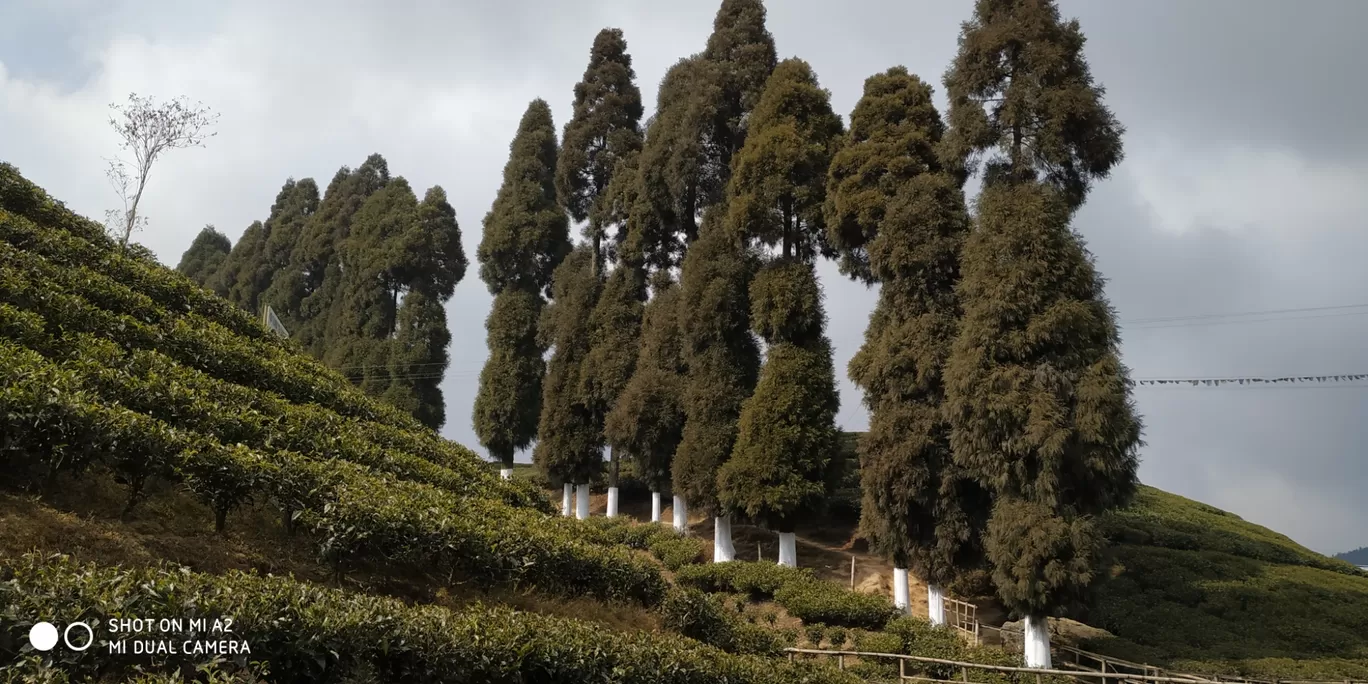 Photo of Darjeeling By Baishakhi Chakraborty