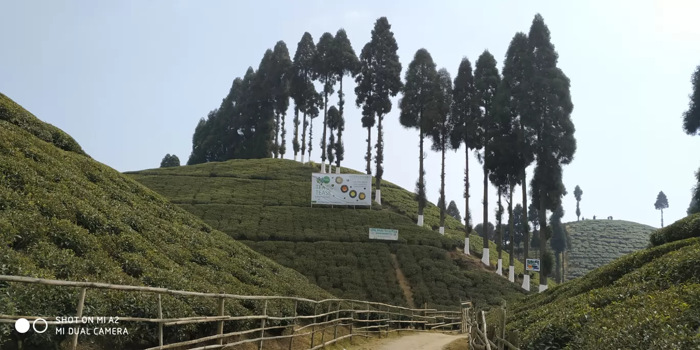 Photo of Darjeeling By Baishakhi Chakraborty