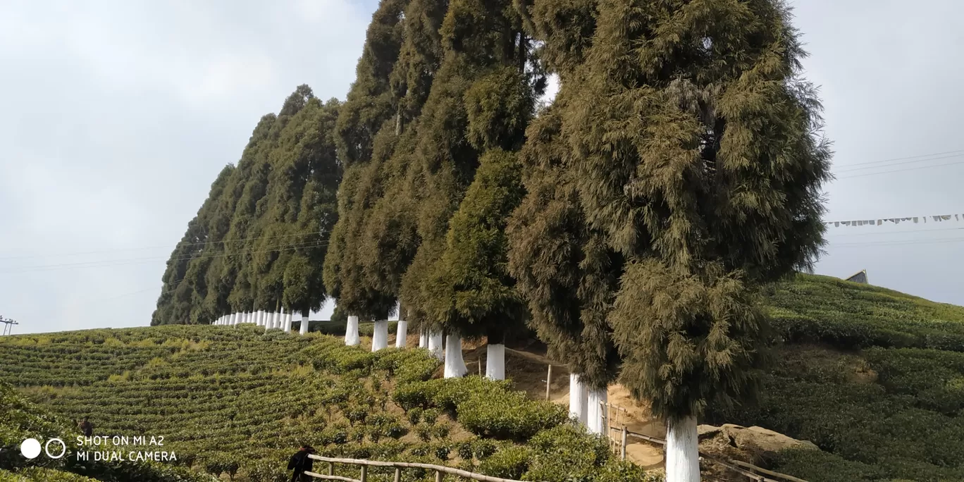 Photo of Darjeeling By Baishakhi Chakraborty