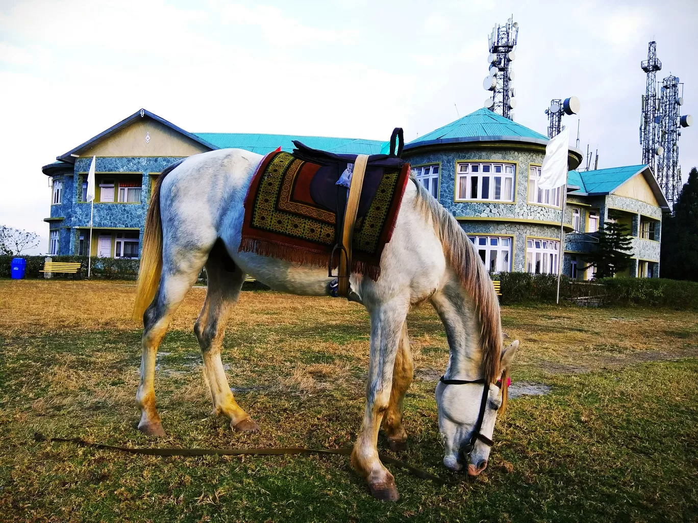 Photo of Darjeeling By Priyangi Chakrabarti