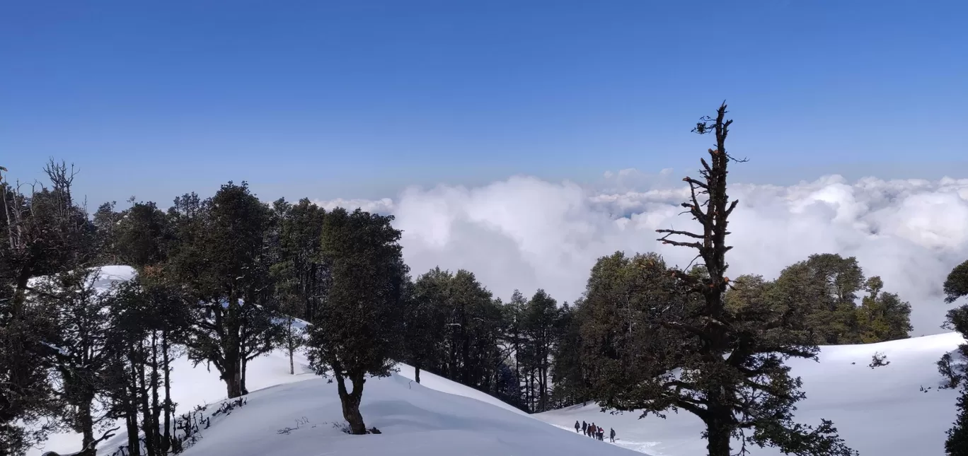 Photo of Nag Tibba Top By Vashisht Gupta