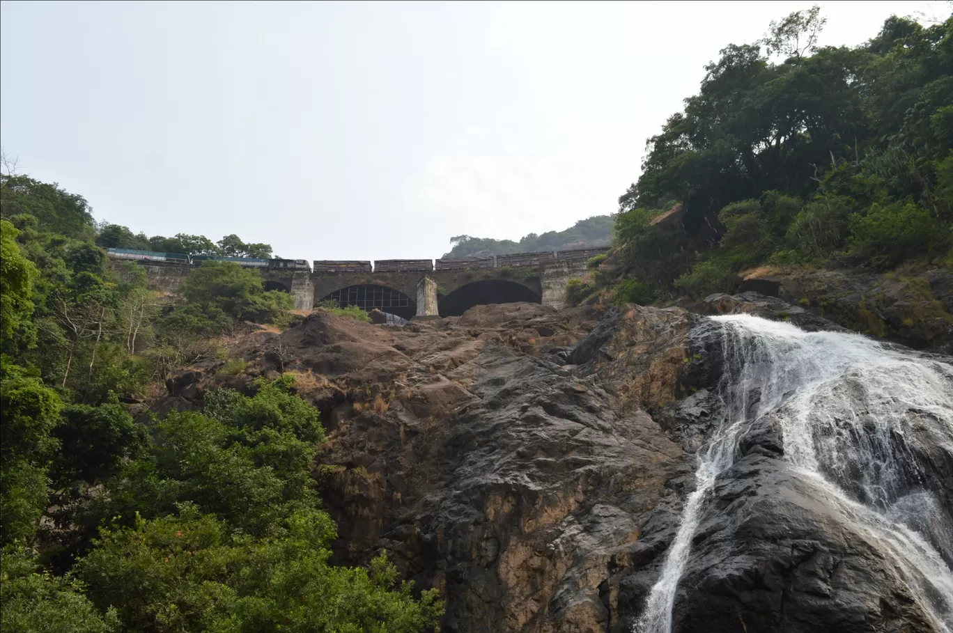 Photo of Dudhsagar Falls By Ranjan Rai