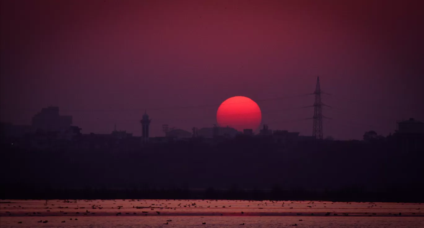 Photo of Okhla Bird Sanctuary By Pratap Kumar.P