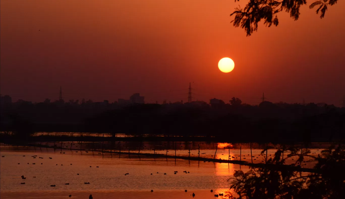 Photo of Okhla Bird Sanctuary By Pratap Kumar.P