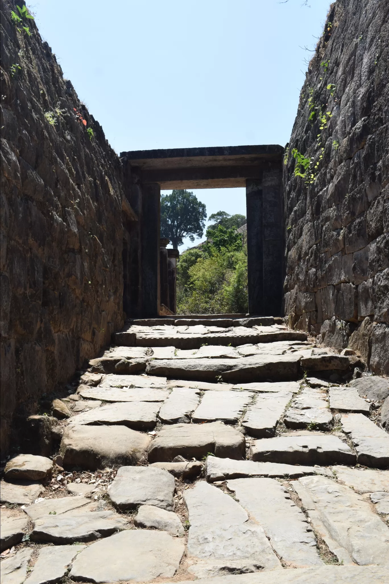 Photo of Kavale Durga Fort By HUNGRY TRIPPERS