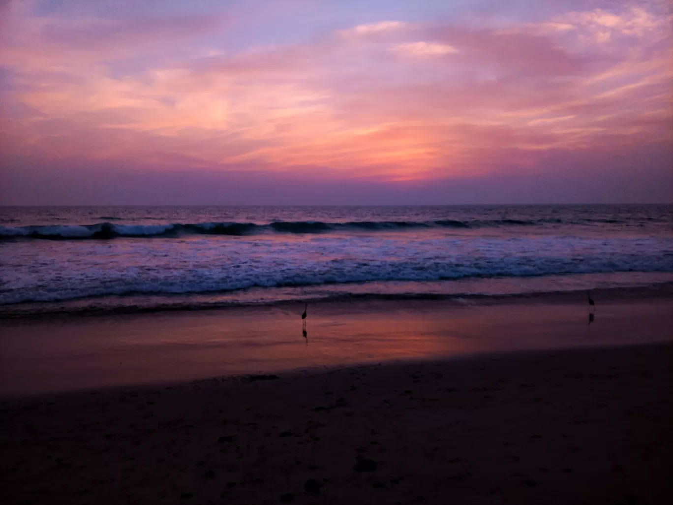 Photo of Gujarat By Abhay Joshi