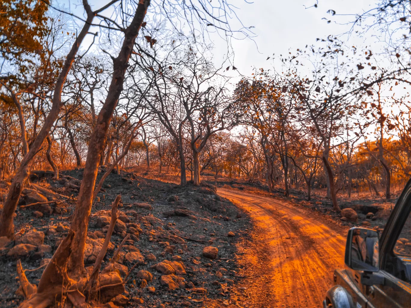 Photo of Gujarat By Abhay Joshi