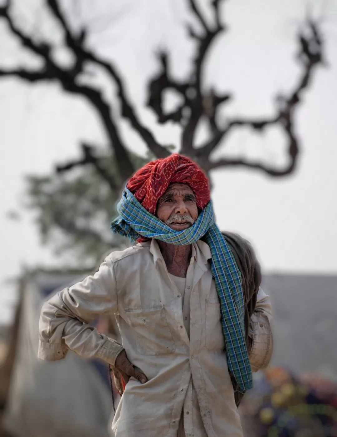 Photo of Pushkar By Rishabh Tripathi