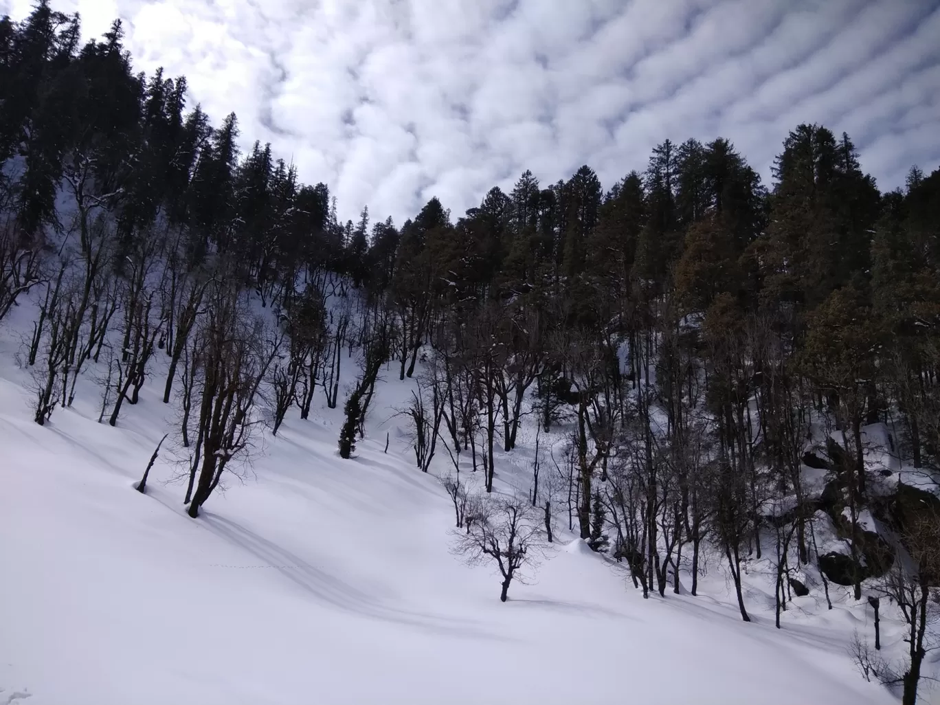 Photo of Himachal Pradesh By Ratan Tatikonda