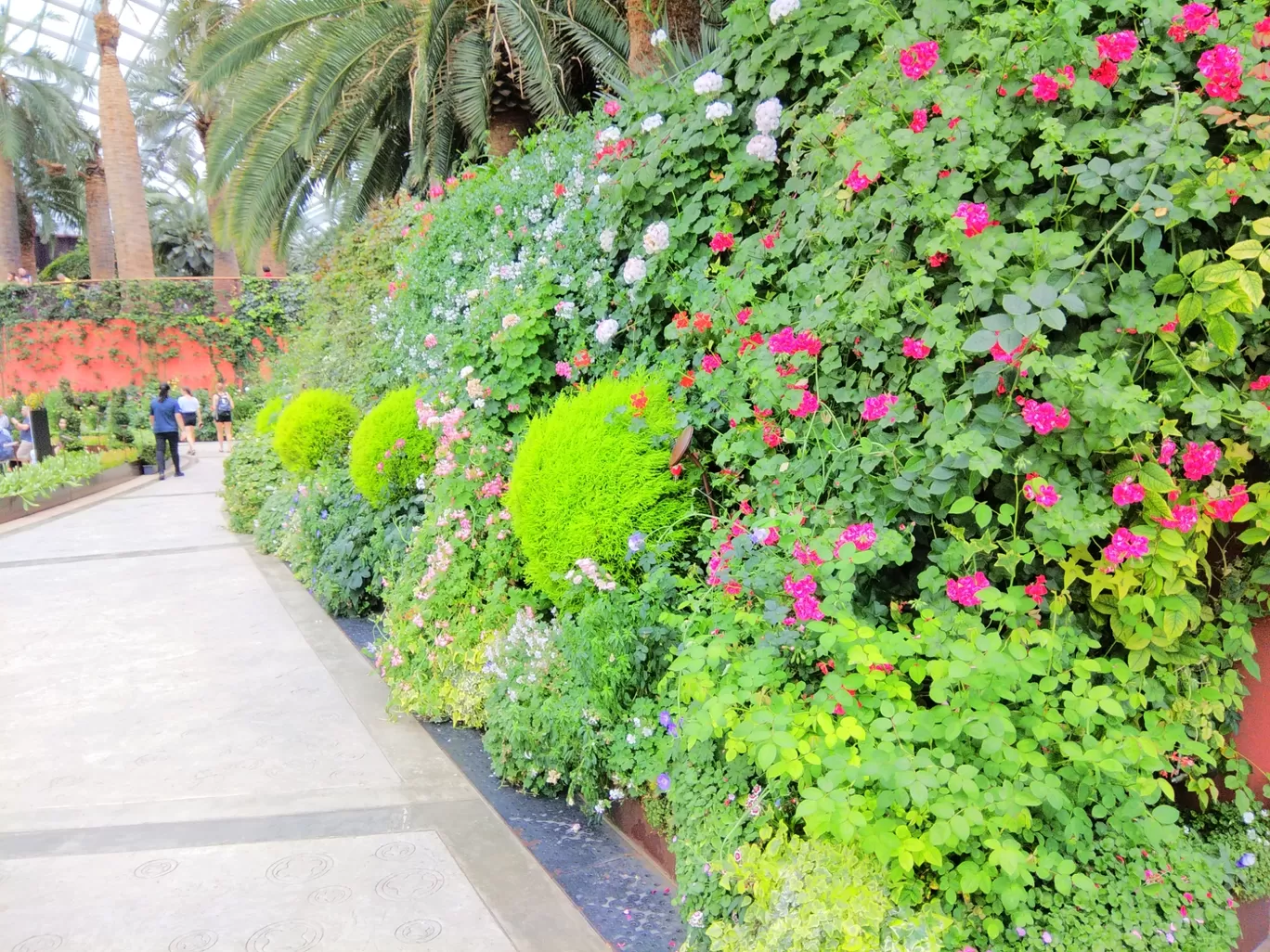 Photo of Marina Gardens Drive By Ratan Tatikonda