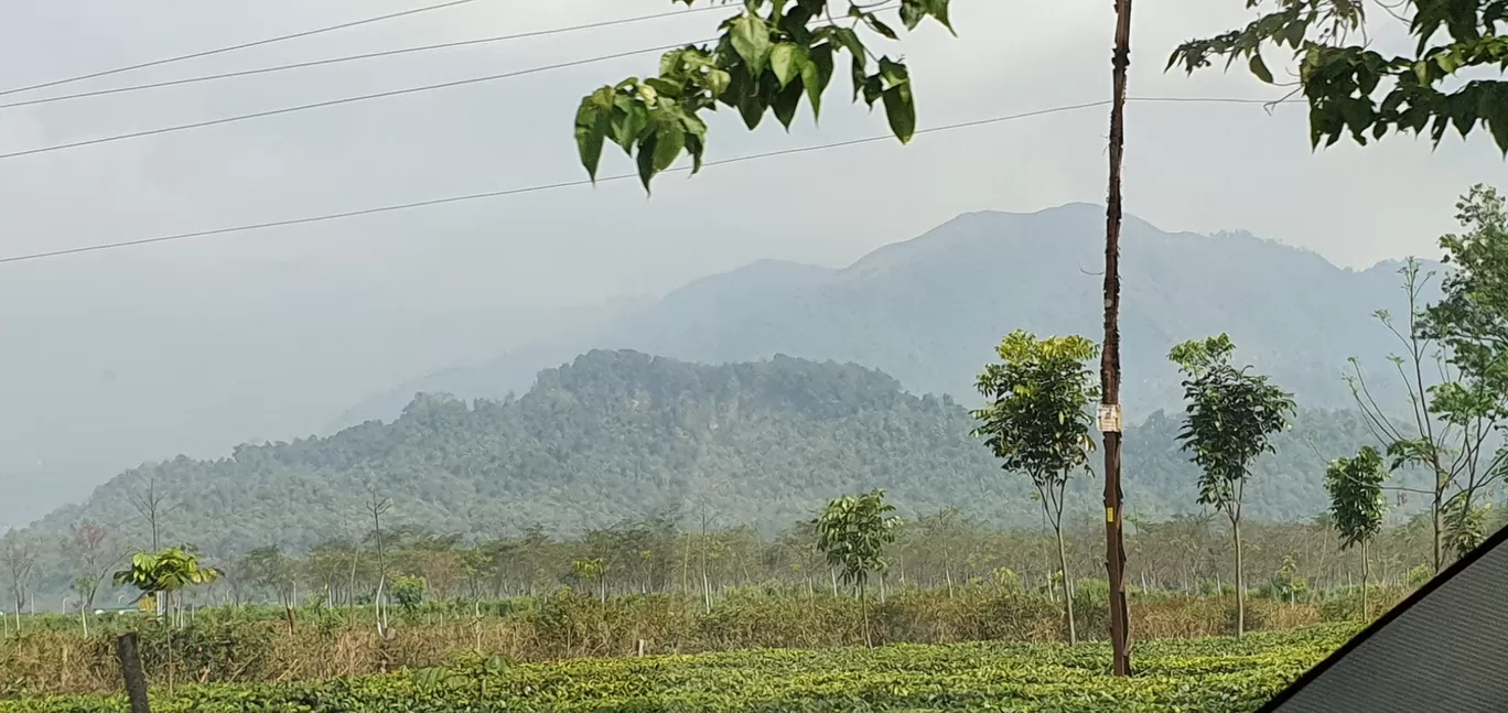 Photo of Darjeeling By Sanjay 