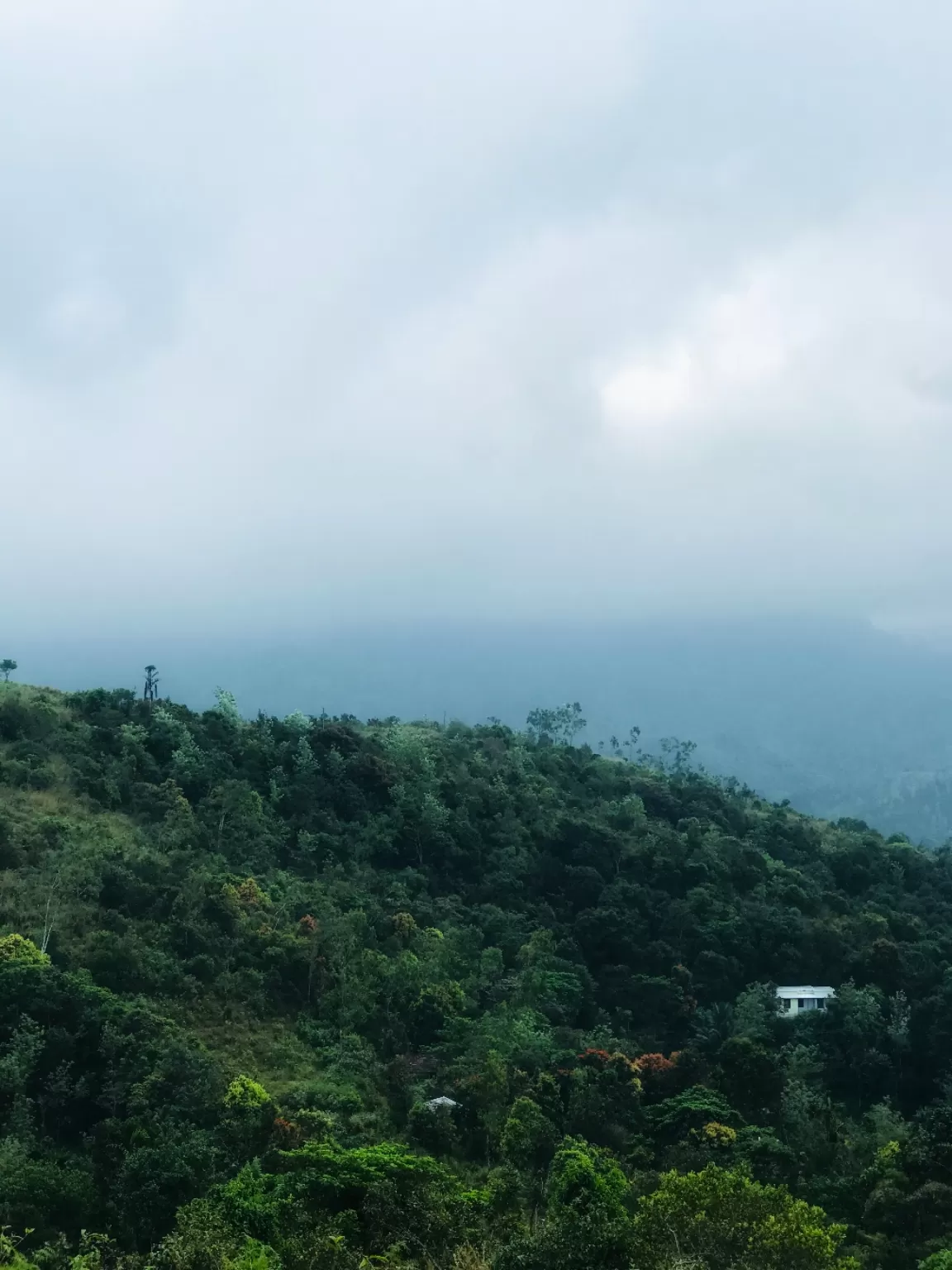 Photo of Wayanad By pikey