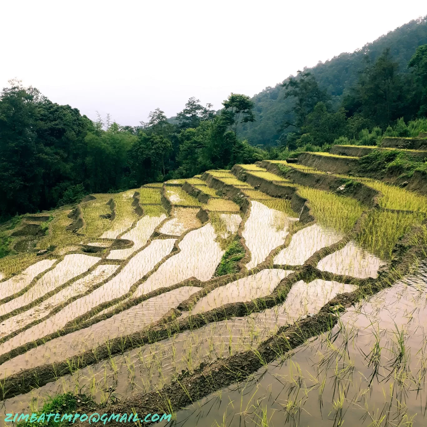 Photo of Tumlong By ZIMBA vlogs