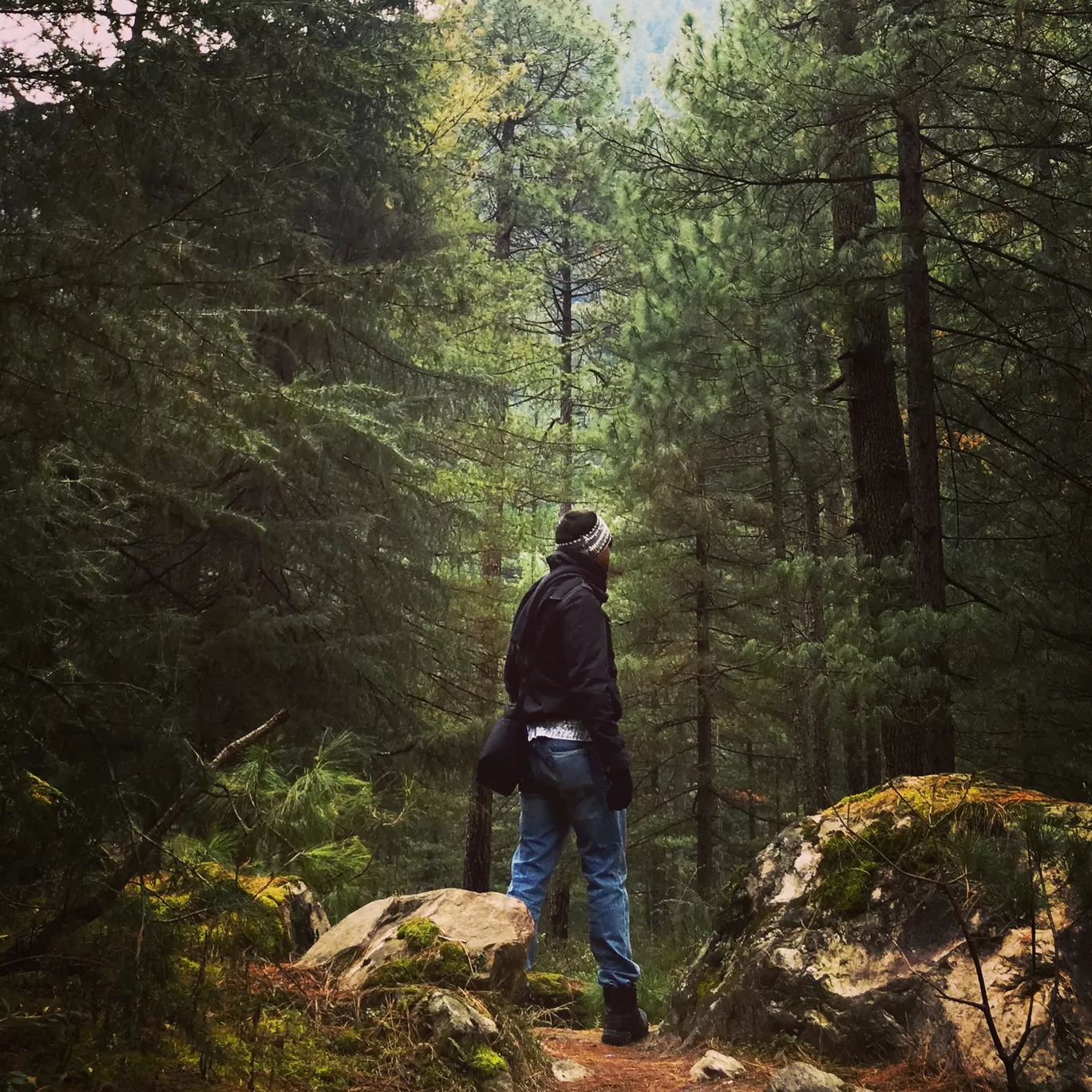 Photo of Kasol, Tosh & Chalal By Arnav