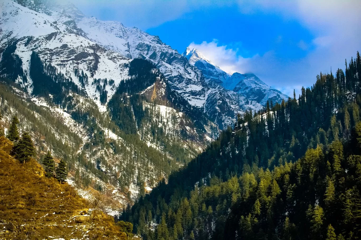 Photo of Kasol, Tosh & Chalal By Arnav