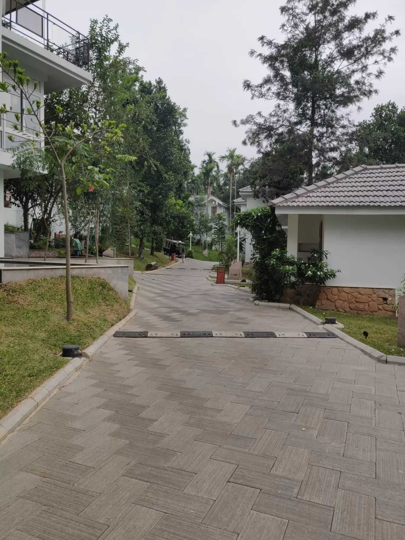 Photo of Sterling Wayanad - Resorts and Hotels in Kerala By Kinnera Kanduri