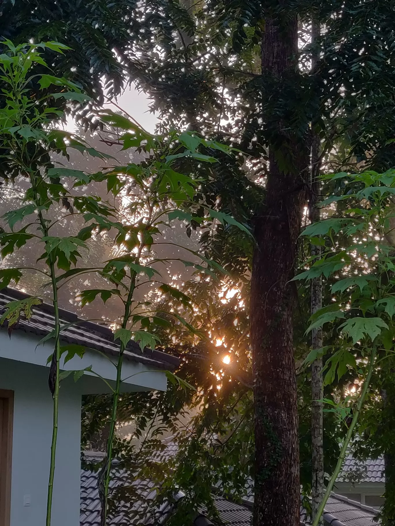 Photo of Sterling Wayanad - Resorts and Hotels in Kerala By Kinnera Kanduri