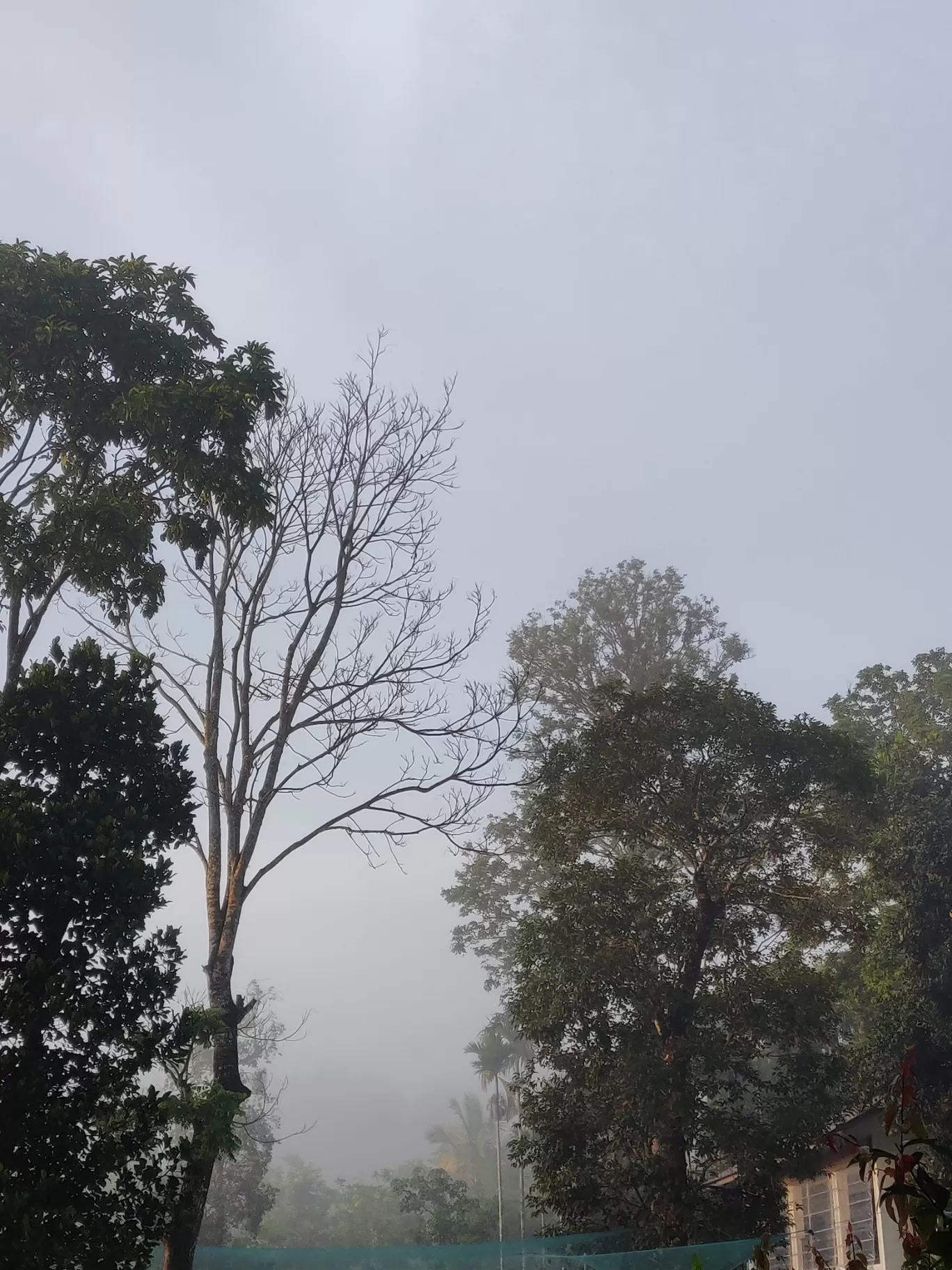 Photo of Sterling Wayanad - Resorts and Hotels in Kerala By Kinnera Kanduri
