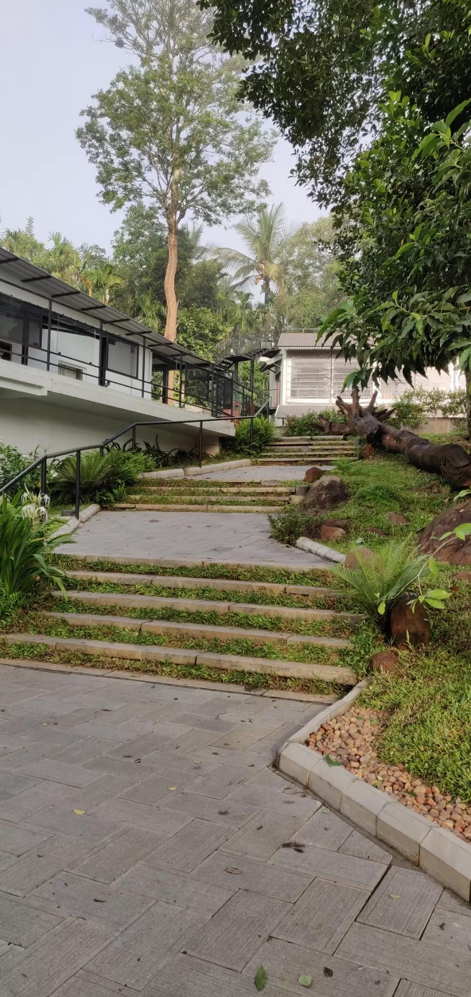 Photo of Sterling Wayanad - Resorts and Hotels in Kerala By Kinnera Kanduri