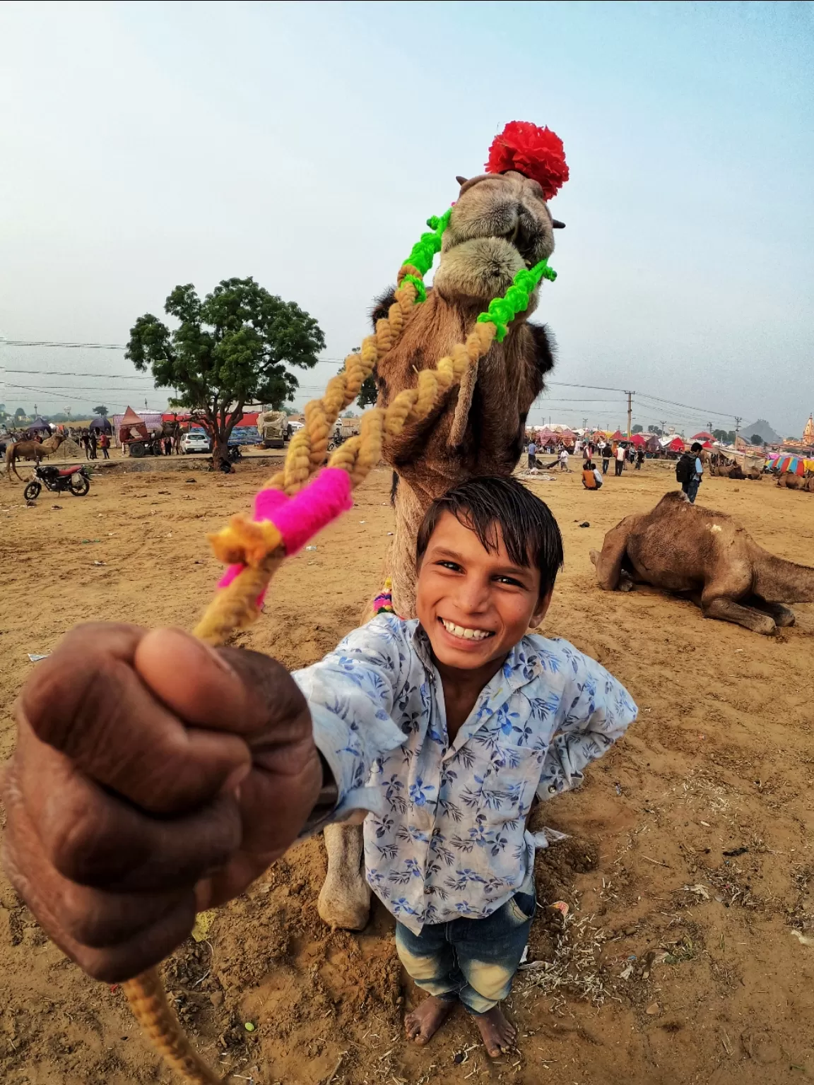 Photo of Pushkar Camel Fair By khanabadosh 