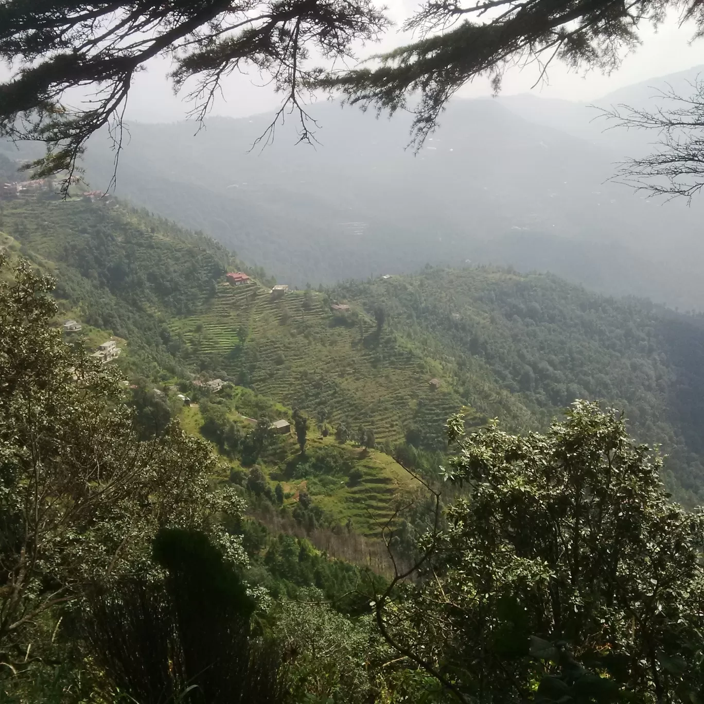 Photo of Nainital By Mukteswar Kumar