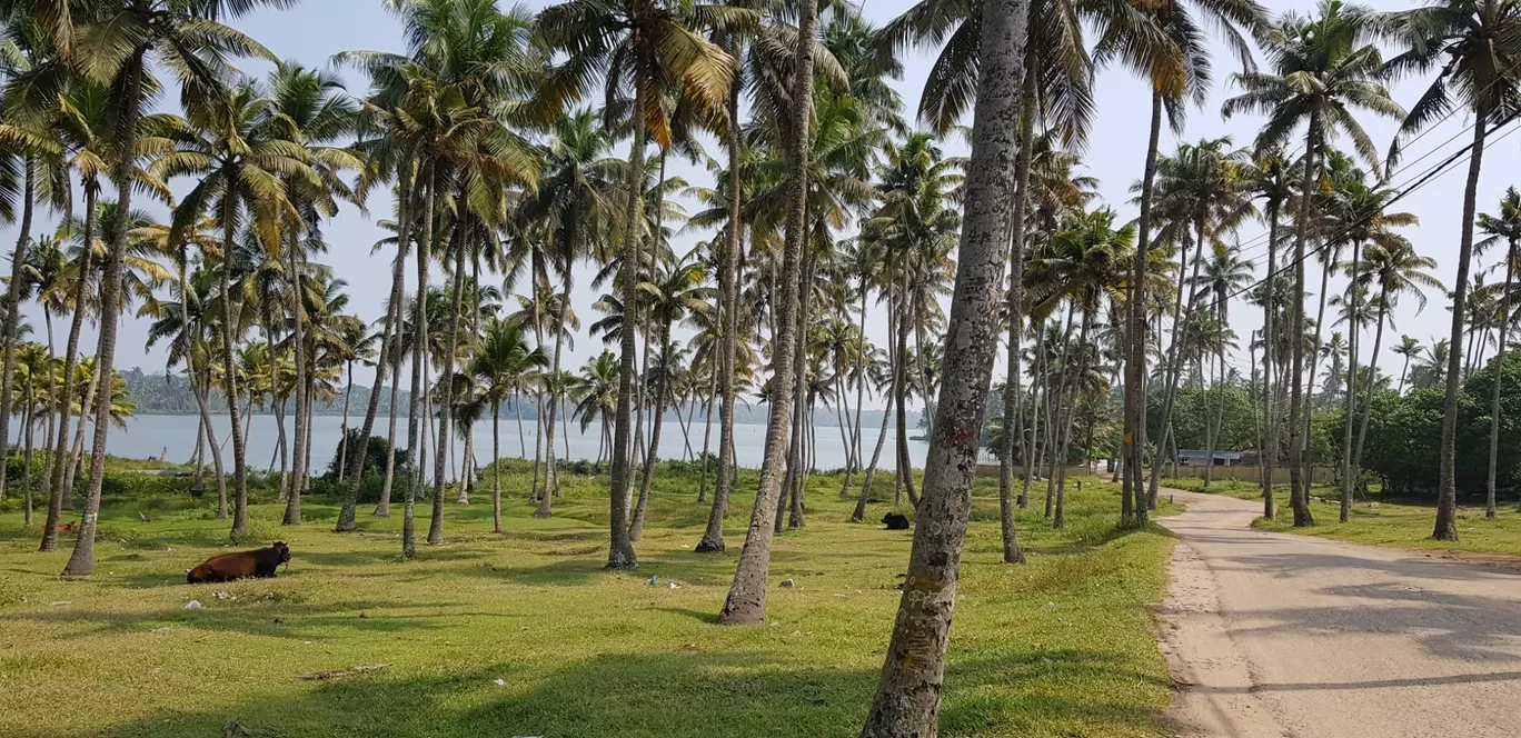 Photo of Alleppey By Dhaval Shah