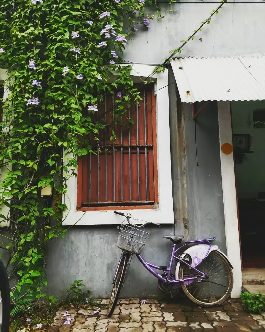 Photo of India By Ria Dantewadia