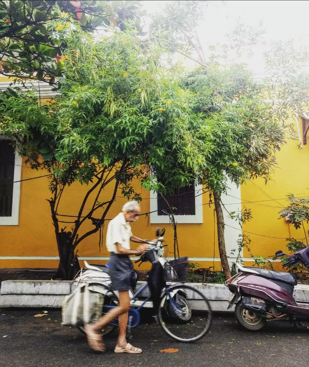 Photo of India By Ria Dantewadia