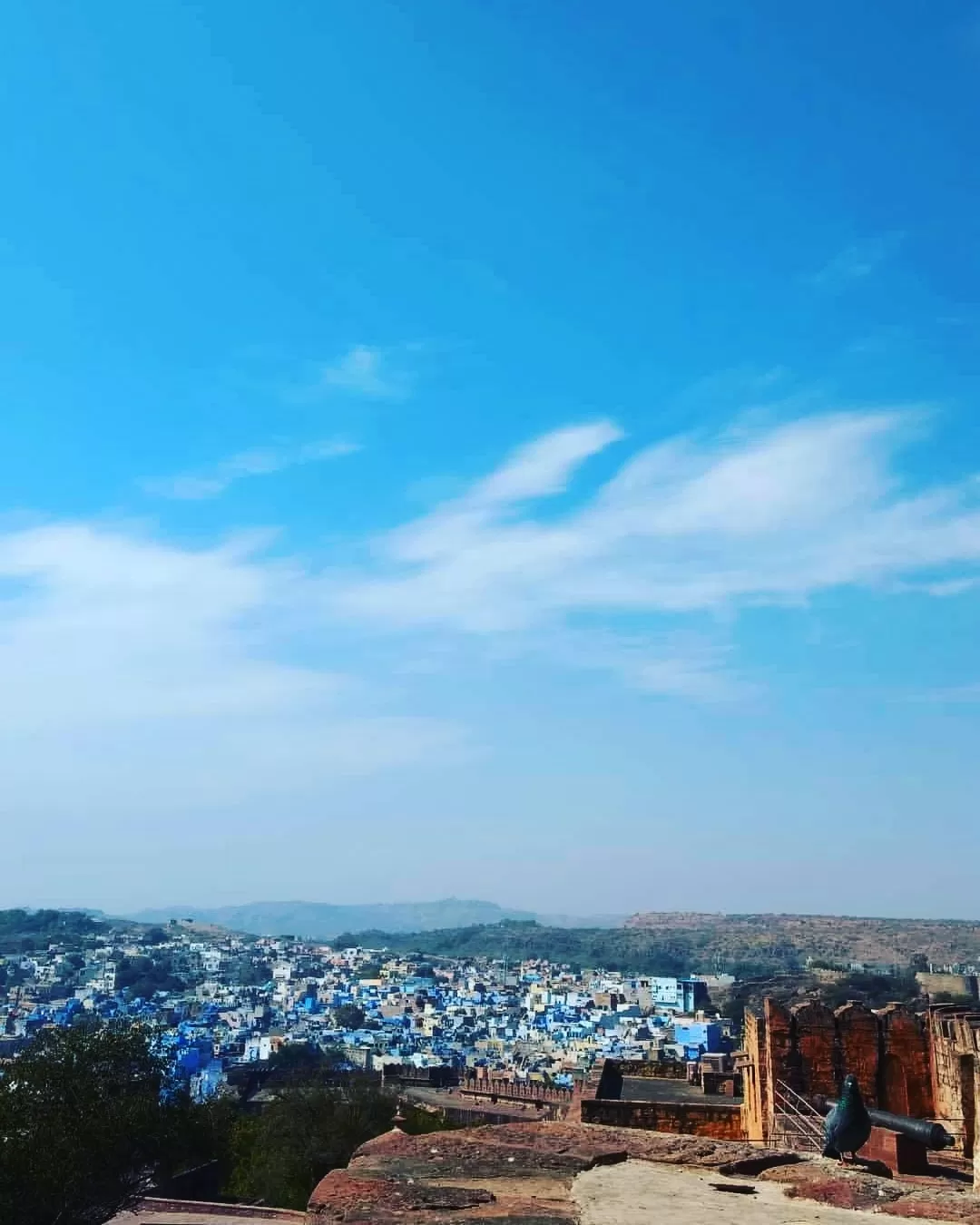 Photo of India By Ria Dantewadia