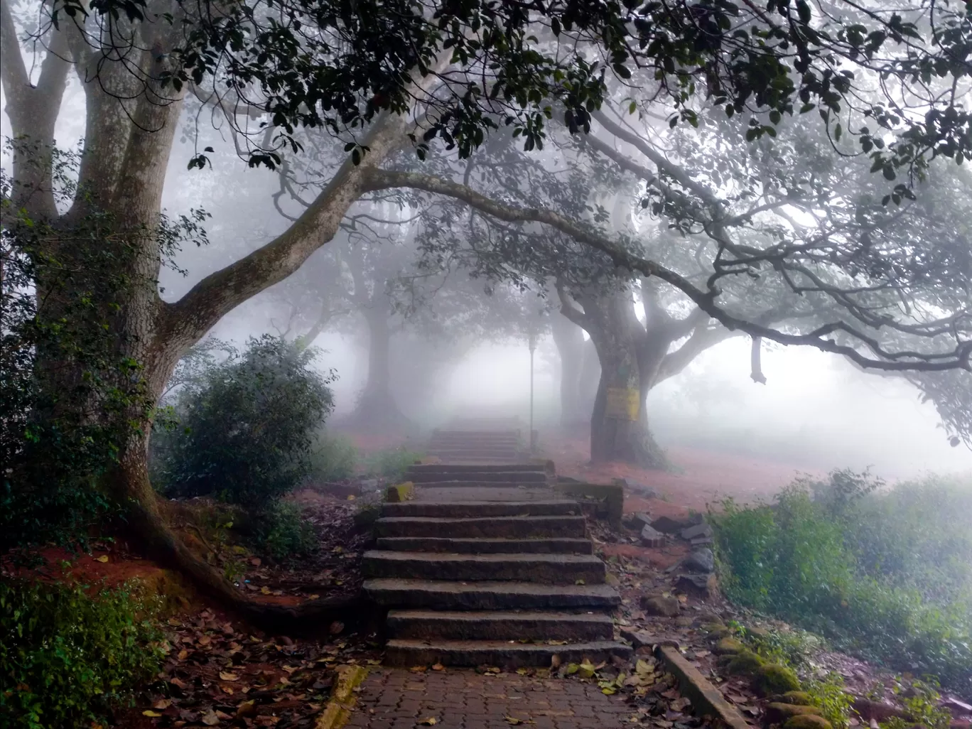 Photo of Karnataka By Naveen Naik