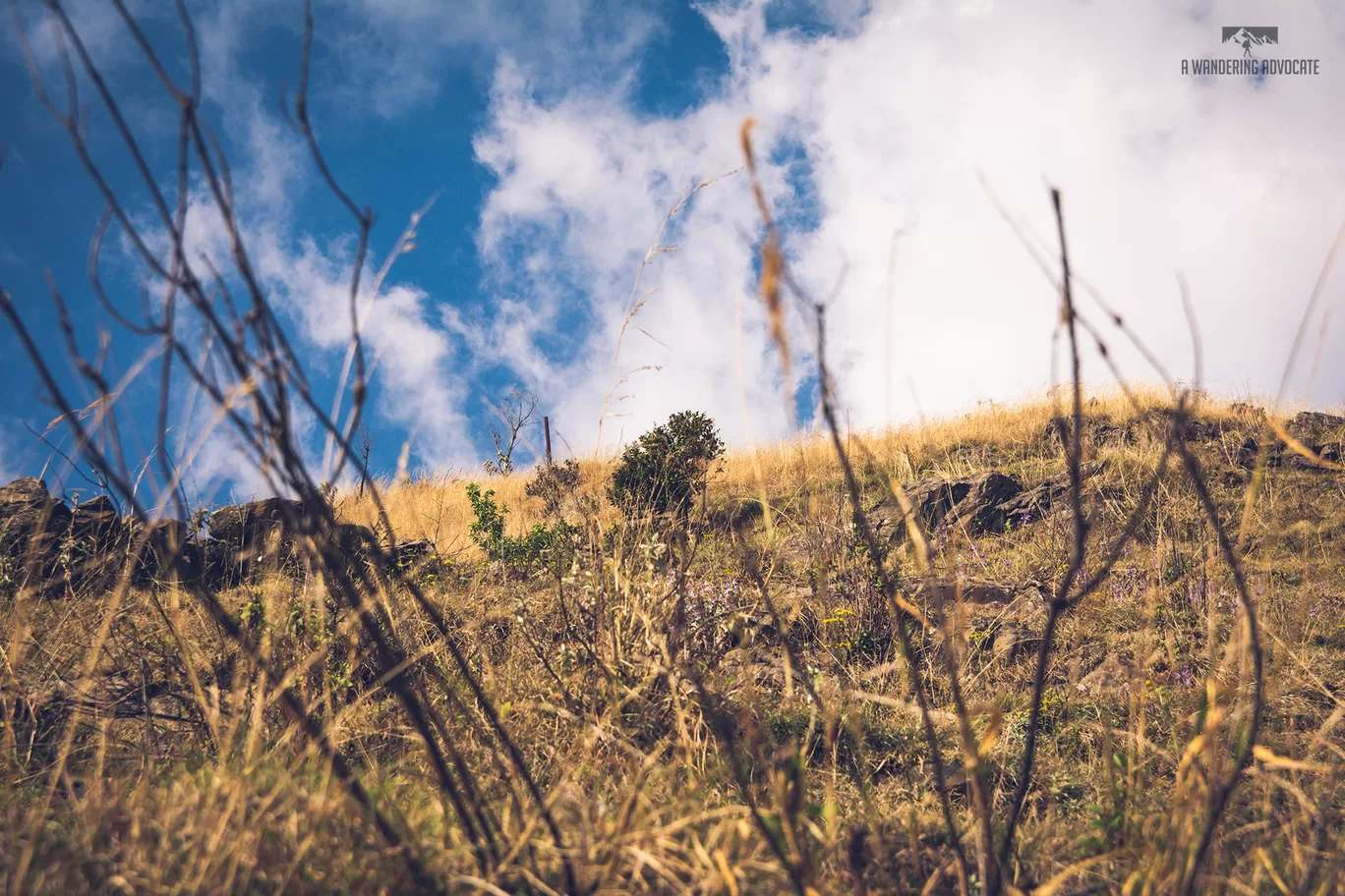Photo of Nag Tibba By Anoop Verma