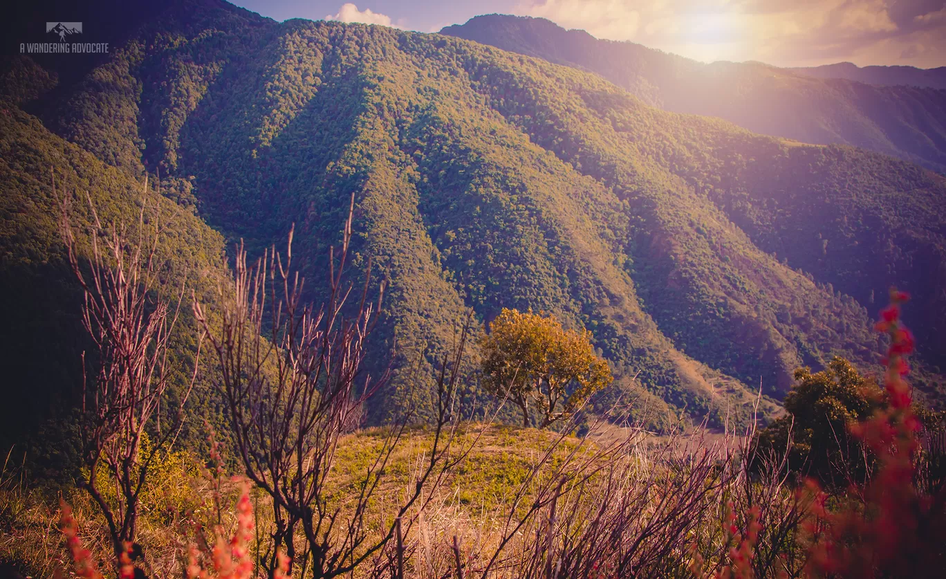 Photo of Nag Tibba By Anoop Verma