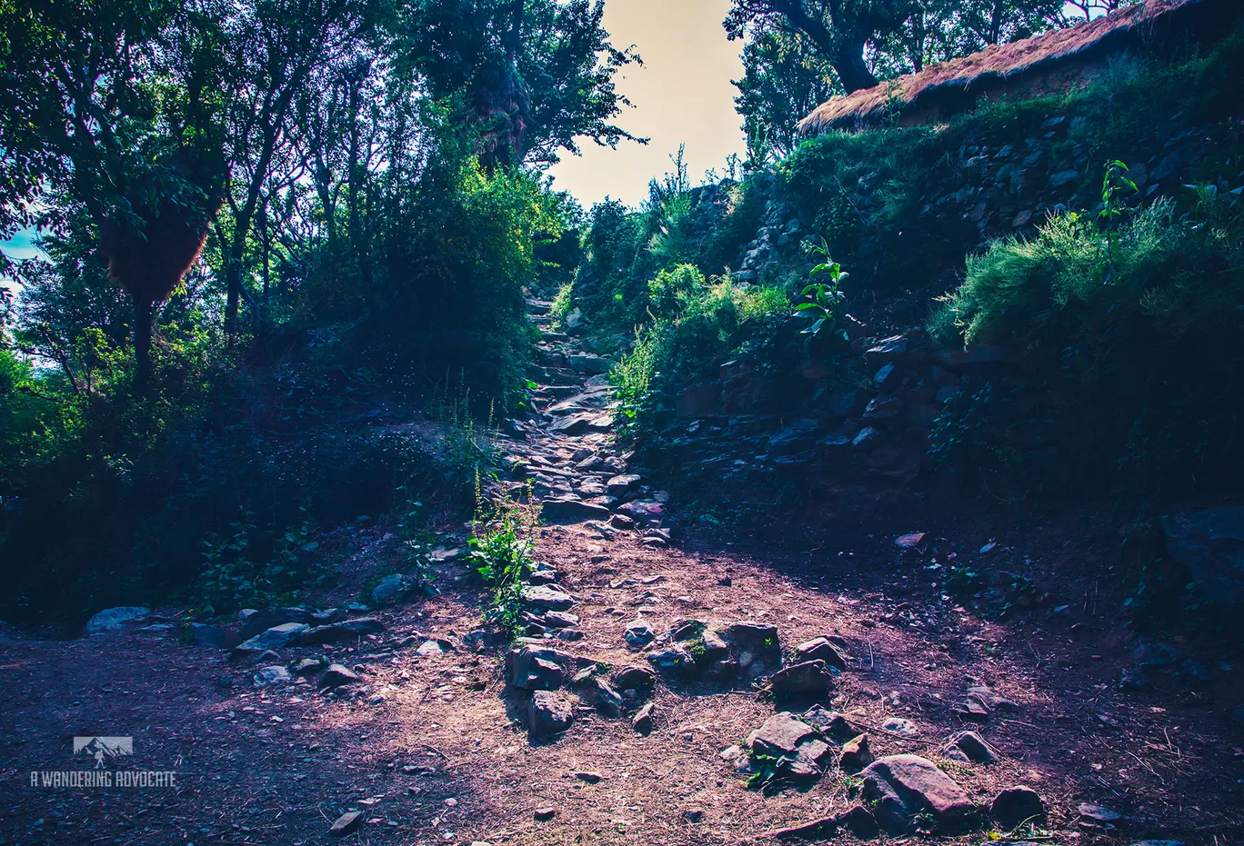 Photo of Nag Tibba By Anoop Verma