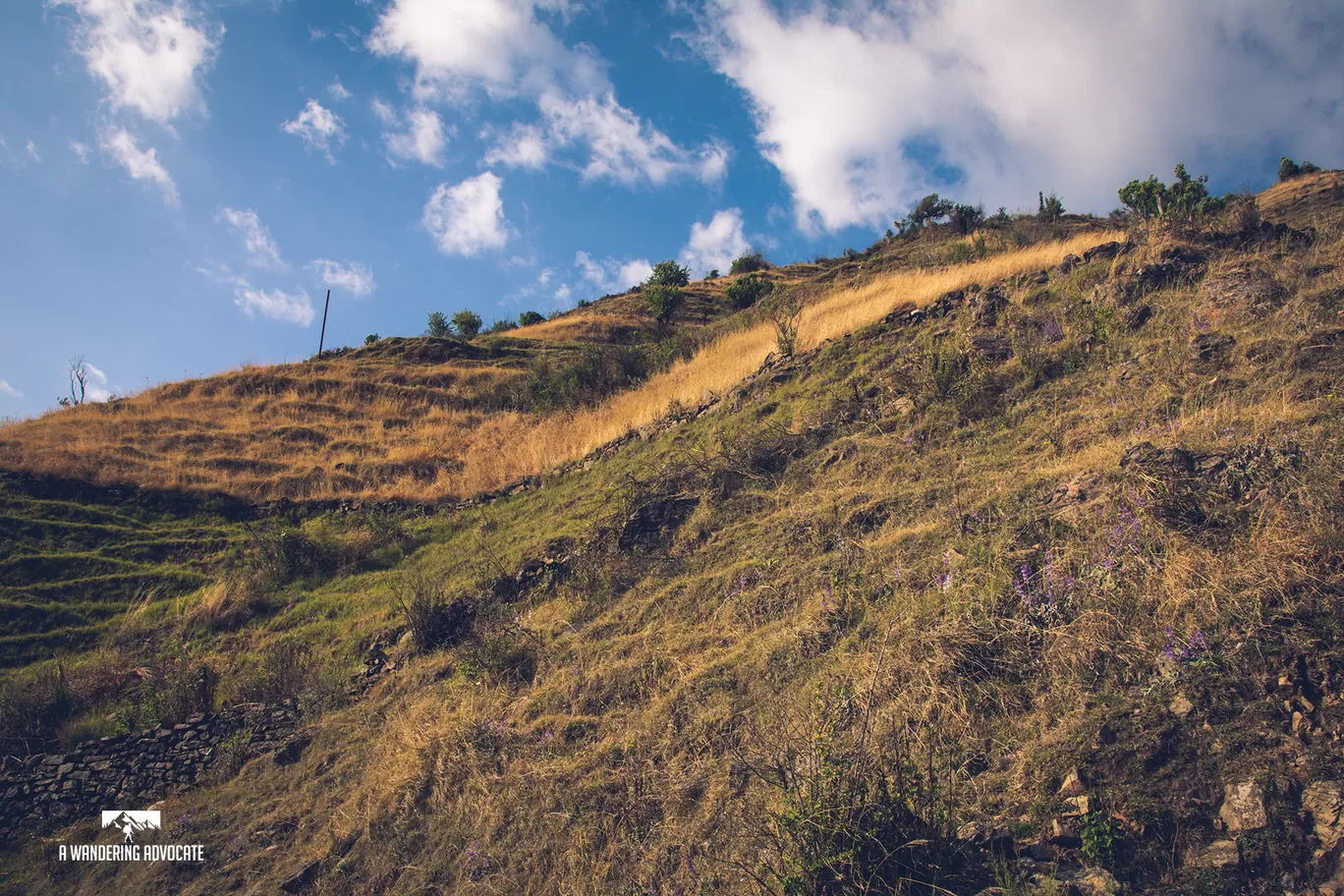 Photo of Nag Tibba By Anoop Verma