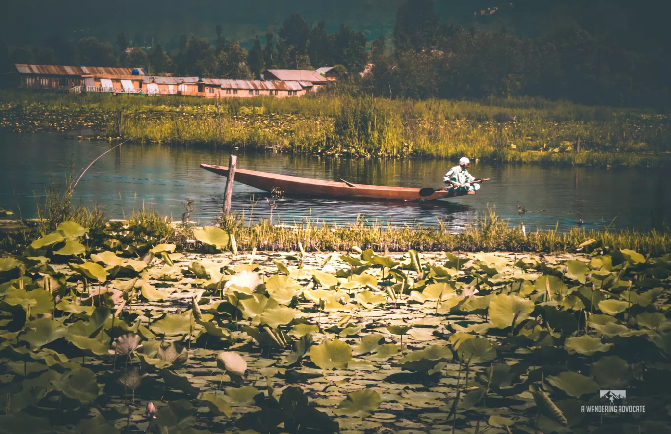 Photo of Dal Lake By Anoop Verma