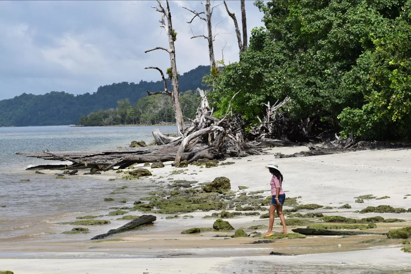 Photo of Andaman Islands By Anita Minz