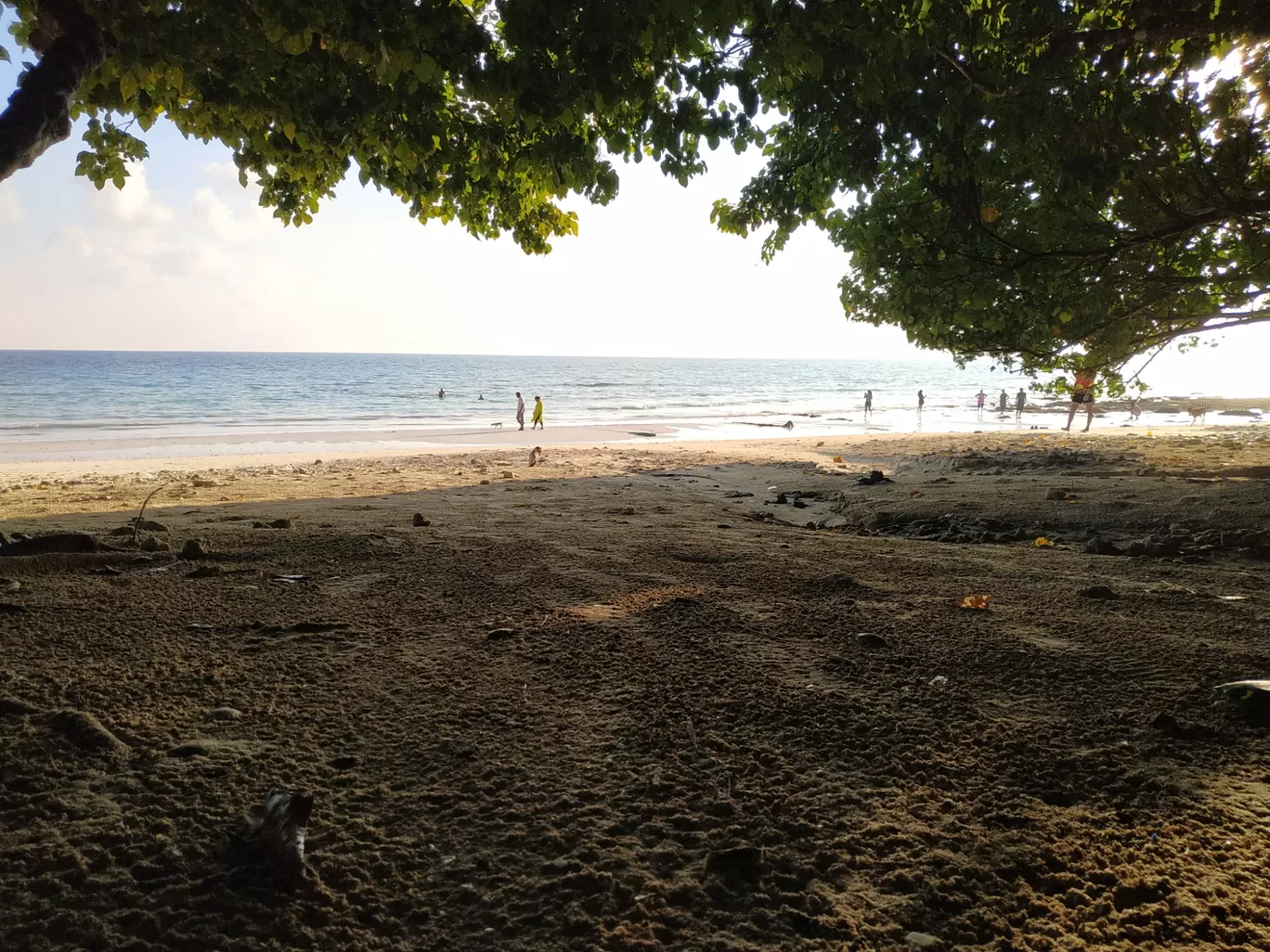 Photo of Andaman Islands By Anita Minz