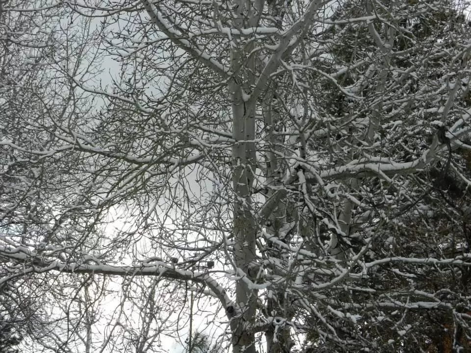 Photo of Flagstaff By Smruti Nayak