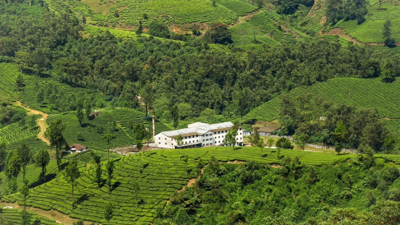 Photo of Munnar By Sourabh Chikkerur