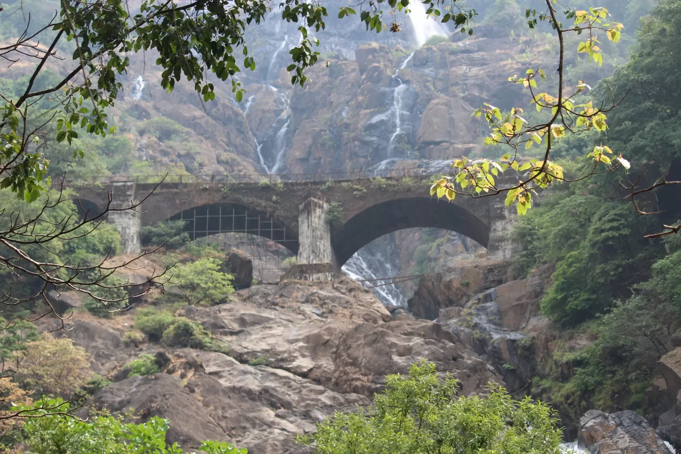 Photo of Goa By Umang Patil