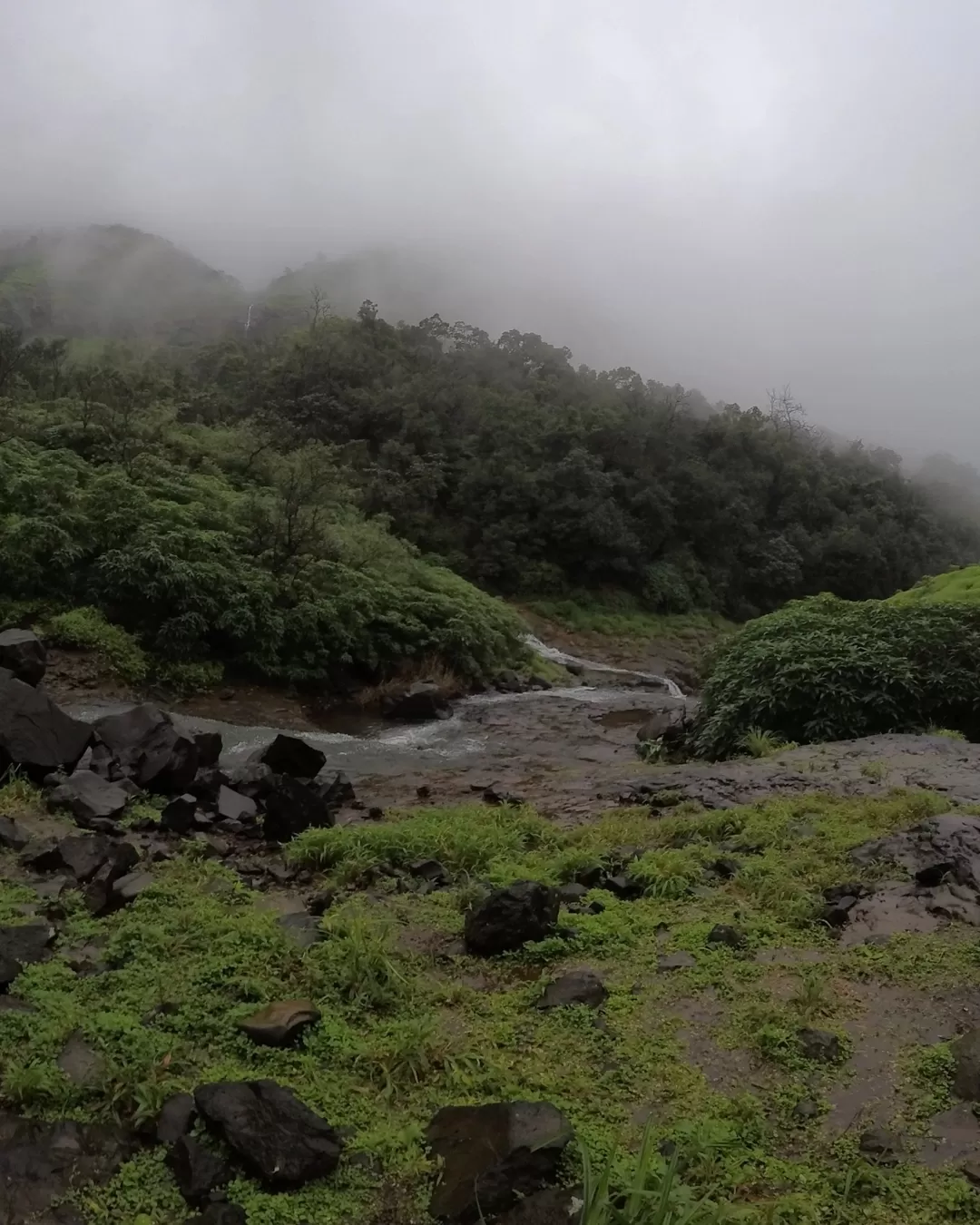 Photo of Andharban (The Dark Forest) AgroTourism By Amit rathod