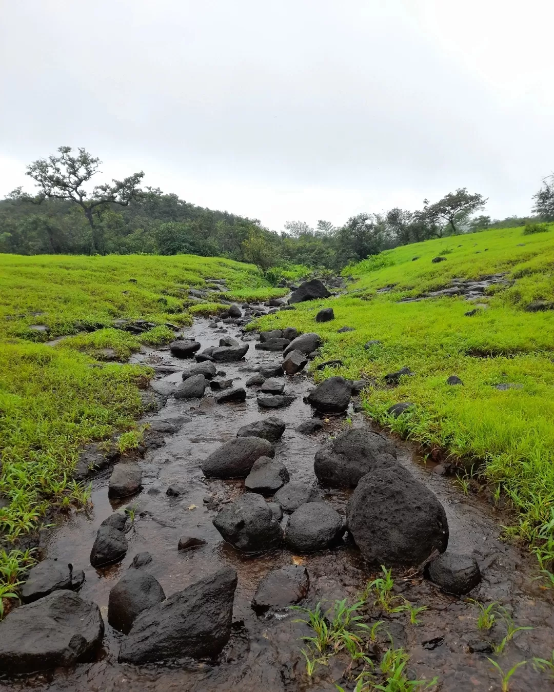 Photo of Andharban (The Dark Forest) AgroTourism By Amit rathod