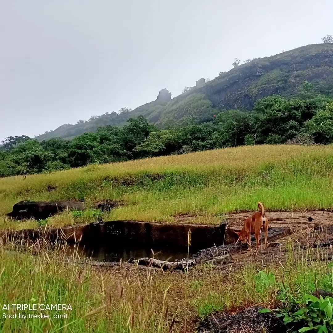 Photo of Kohoj By Amit rathod